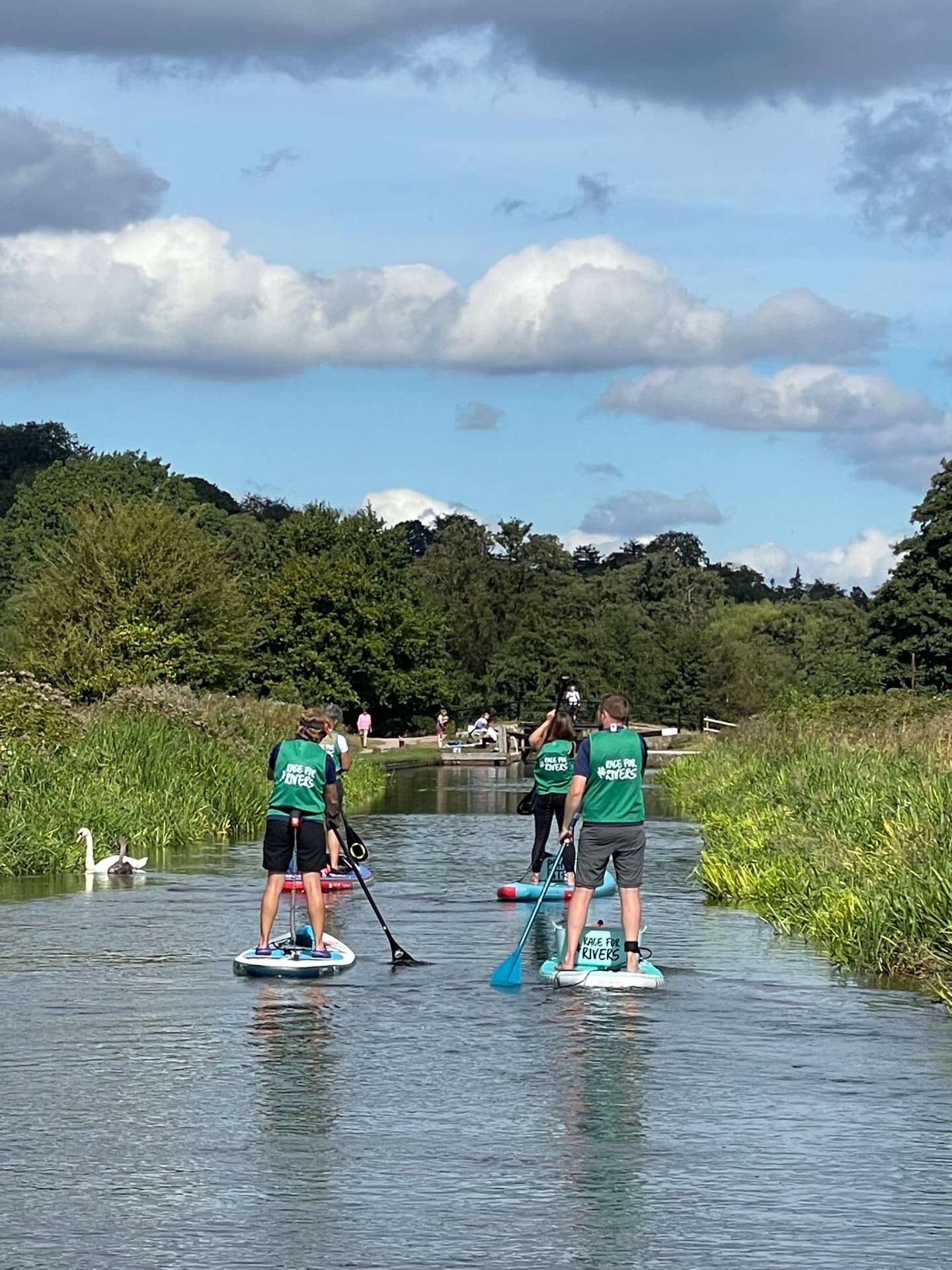 An organised group of paddleboarders in matching event bibs travelling a wide, open stretch of the River Wey past a swan and reed beds