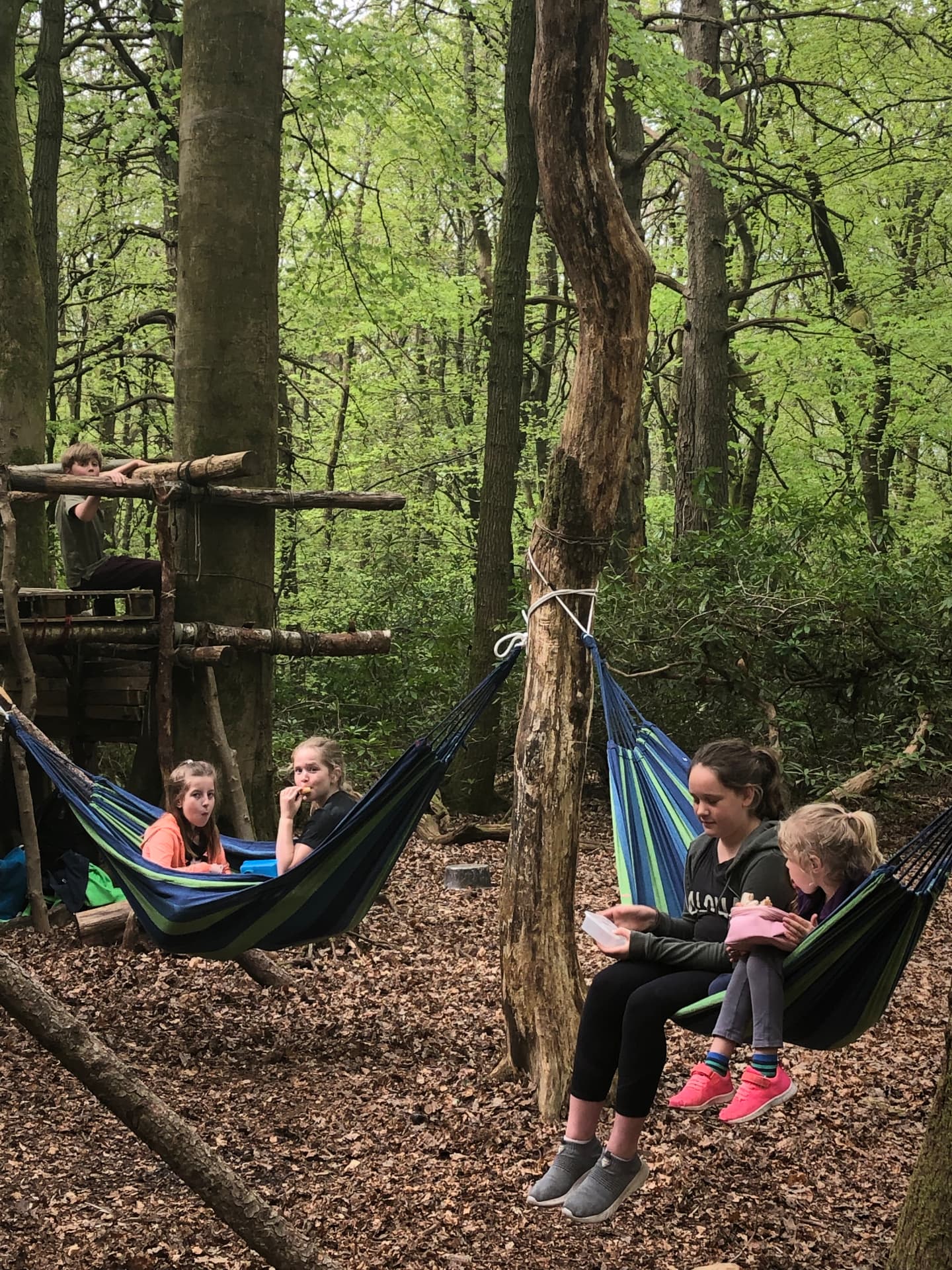 Young people resting in hammocks beside a timber platform structure in woodland at Belmont School base camp