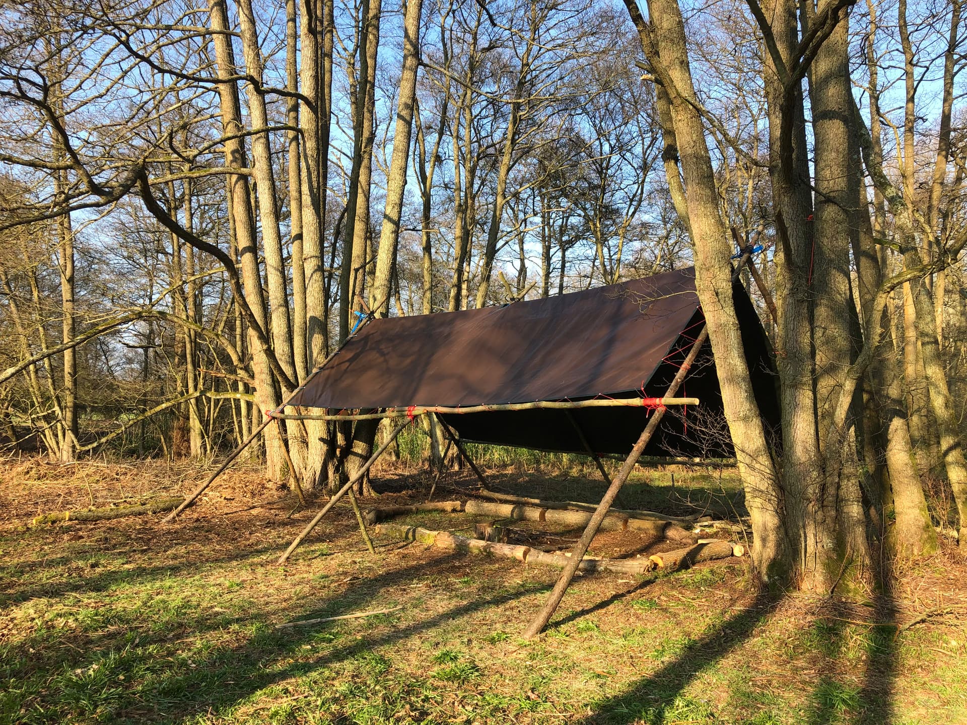 A tarpaulin shelter lashed to poles beside a log seating circle in estate woodland