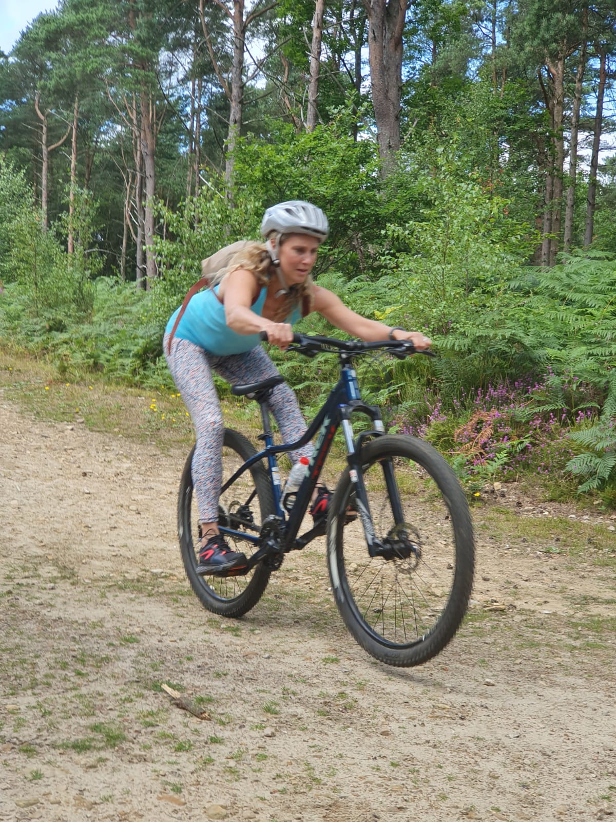 An adult rider in a blue top riding a mountain bike along a gravel forest trail with heather and pine trees behind